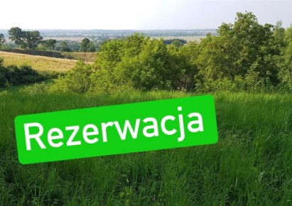 działka na sprzedaż - Medyka, Siedliska