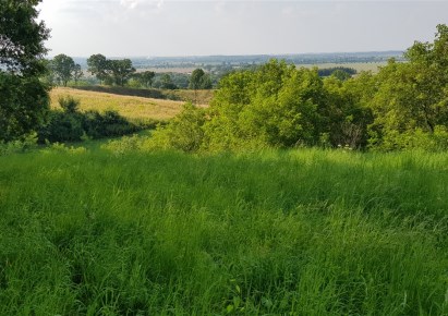 działka na sprzedaż - Medyka, Siedliska