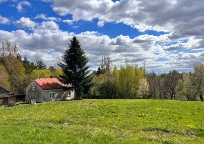 dom na sprzedaż - Dubiecko, Drohobyczka